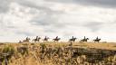 De western is weer helemaal hot, prachtige filmklassieker wordt avontuurlijke serie