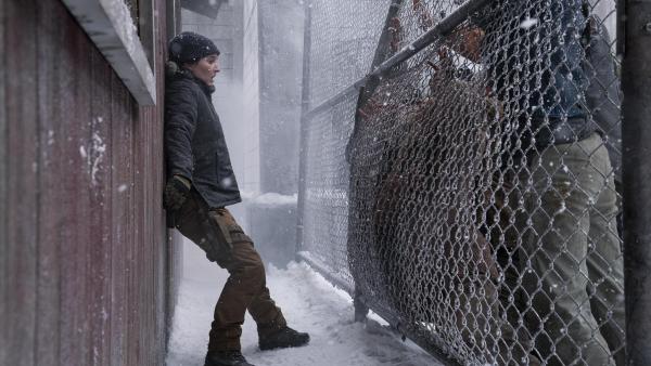 Zware tegenvaller voor 'The Last of Us': belangrijke acteur verlaat seizoen 3 en het is de schuld van Marvel