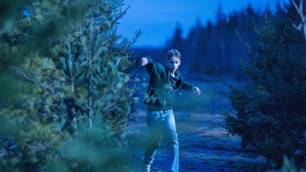 Prime Video's nieuwe Stephen King-serie gooit boek in 2e seizoen overboord: King en de fans in spanning over onverwachte wendingen