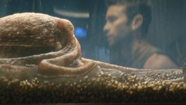 Prime Video ontploft, we wachten allemaal op de finale van de allergrootste serie die Amazon ooit heeft gemaakt!