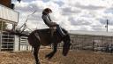 Al twee seizoenen afgerond, maar niemand heeft nog maar één seconde van de serie gezien; deze 'Yellowstone' spin-off gaat iedereen straks compleet omver blazen