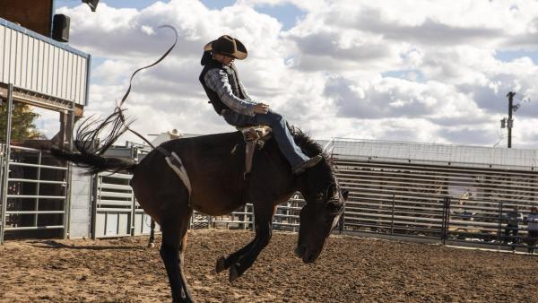 Al twee seizoenen afgerond, maar niemand heeft nog maar één seconde van de serie gezien; deze 'Yellowstone' spin-off gaat iedereen straks compleet omver blazen