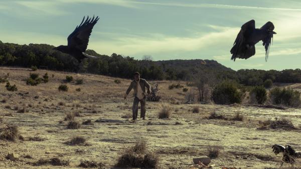 Sinds vandaag staat deze ruwe western op Netflix en is echt iets voor fans van 'Yellowstone'