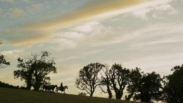 Oei, de opnames van de 'Game of Thrones'-spin-off 'A Knight of the Seven Kingdoms' zijn plots volledig stilgelegd